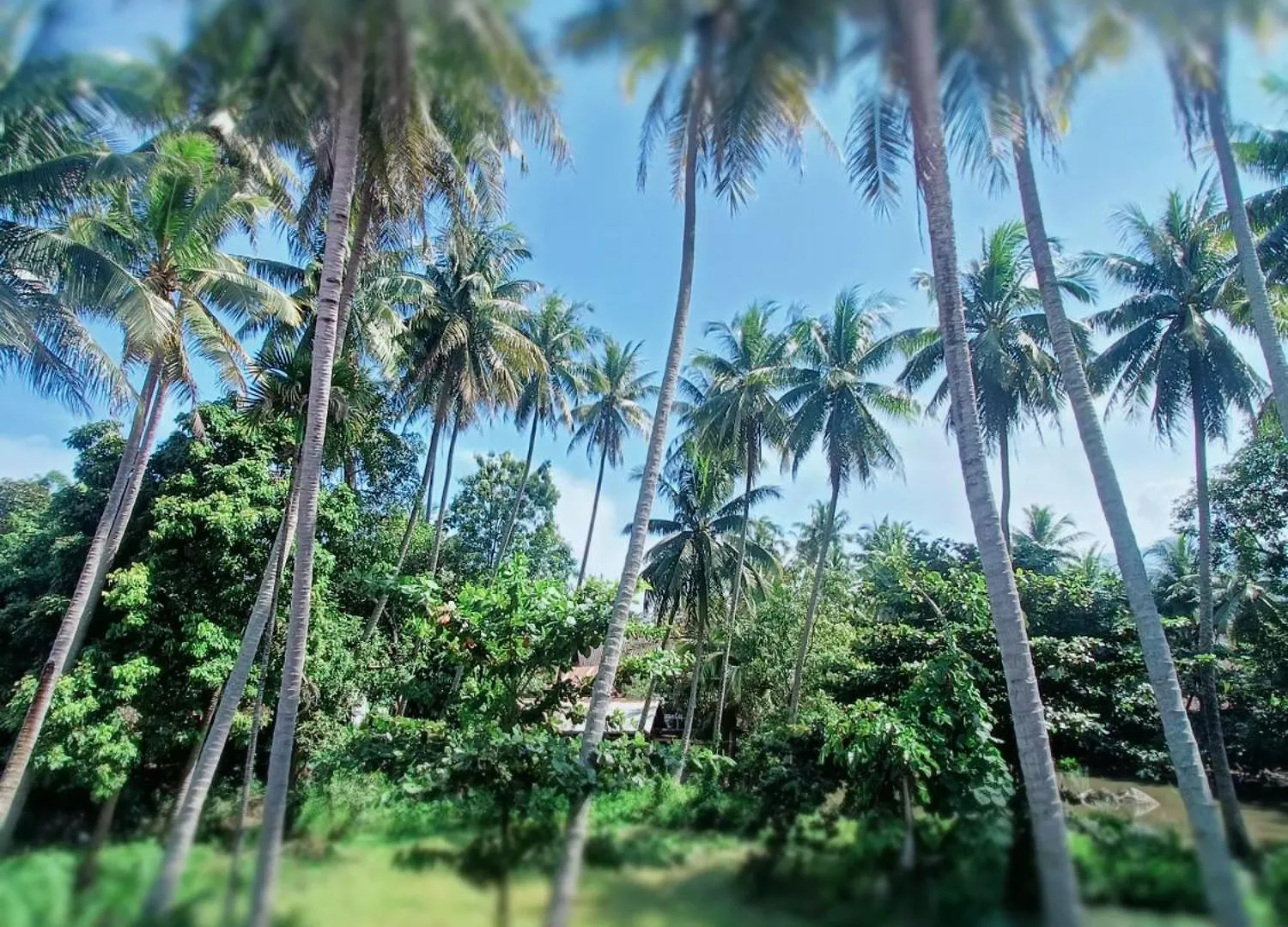 Luangprabang Pearl Hotel