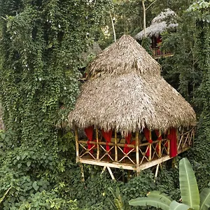 dominican-tree-house.greaterantilleshotels.net/